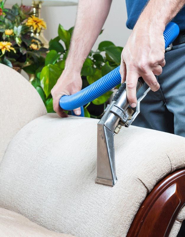 Upholstery Cleaning in Vail