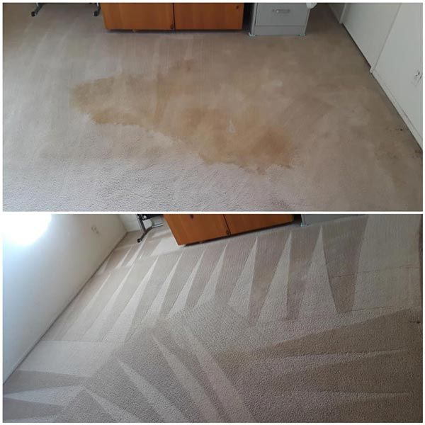 Tucson Stain Removal Carpet Cleaning Example