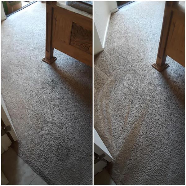 Tucson Stain Removal Carpet Cleaning Example