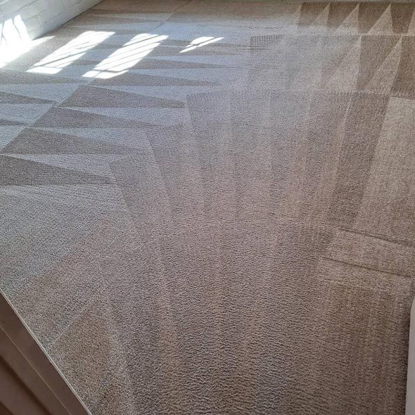 Tucson Carpet Cleaning Example