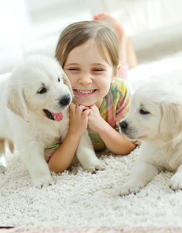 Dogs and a girl on a repaired carpet in Sahuarita